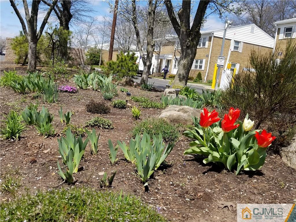 193 Evergreen Road, Unit 3A Edison, NJ 08837 - Photo 4 of 15 Gallery Image 4
