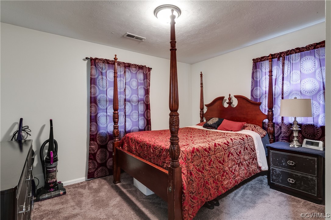 227 Hodder Lane Henrico, VA 23075 - Photo 14 of 24 a bedroom with a bed and a closet