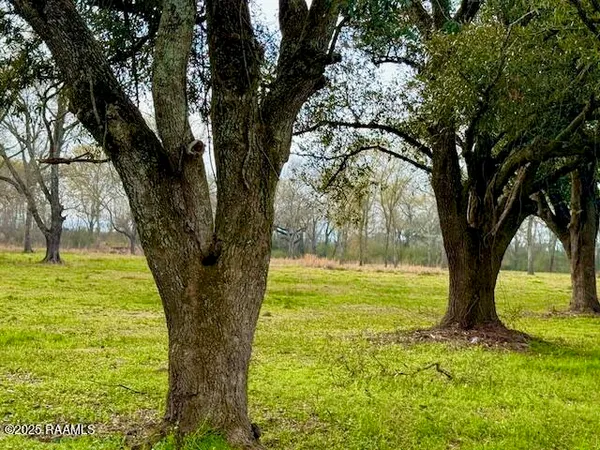 $110,000 | 0 Tbd 5th Street, Iota, LA 70543