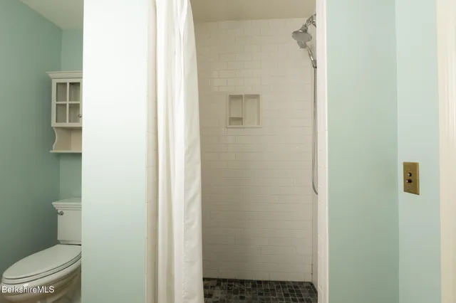 a bathroom with a toilet and a shower