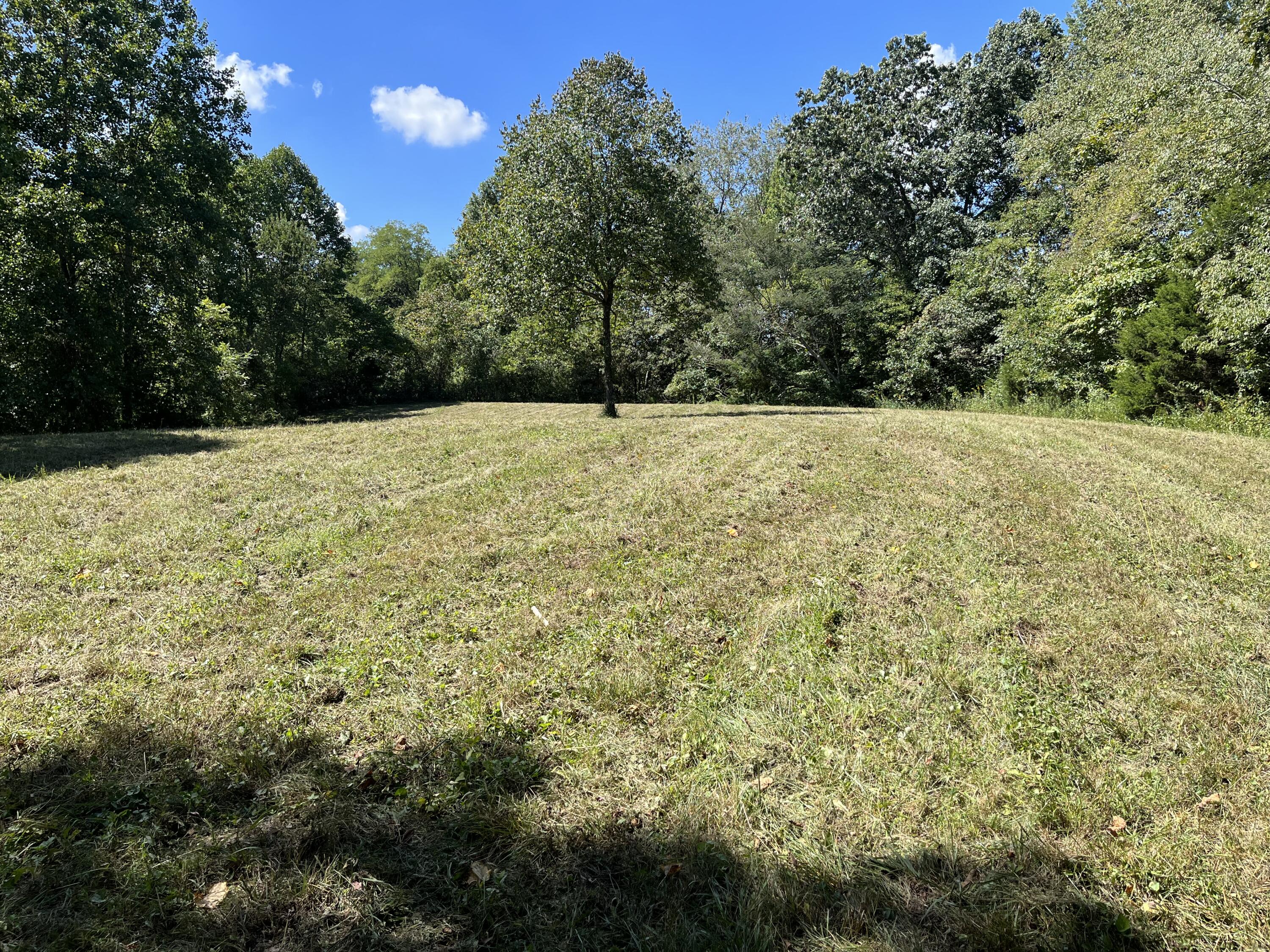 885 Log Lick Road Winchester, KY 40391 - Photo 1 of 39 IMG_1413