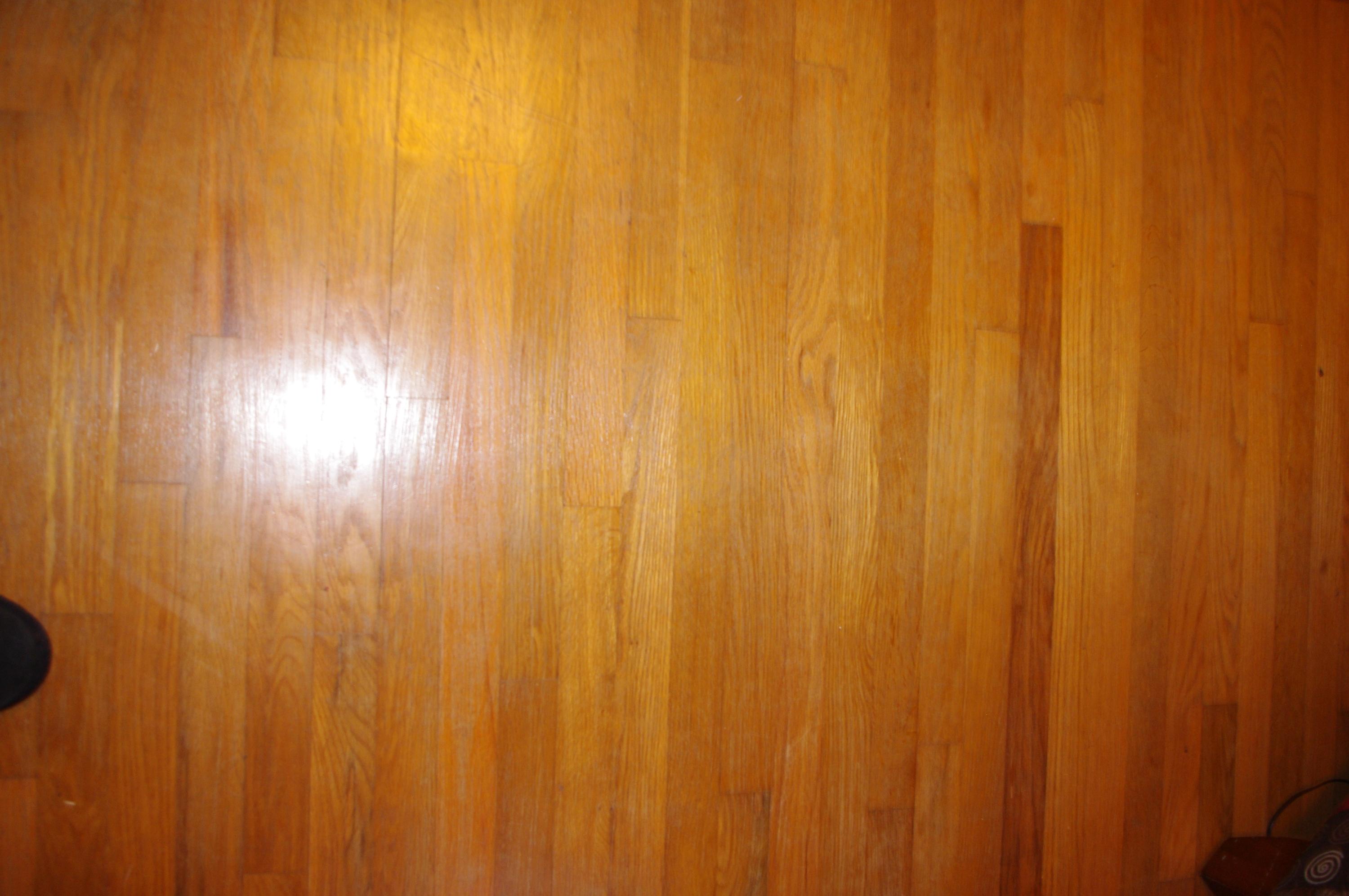 3313 Byington Beaver Ridge Road Knoxville, TN 37931 - Photo 10 of 16 IMGP4038