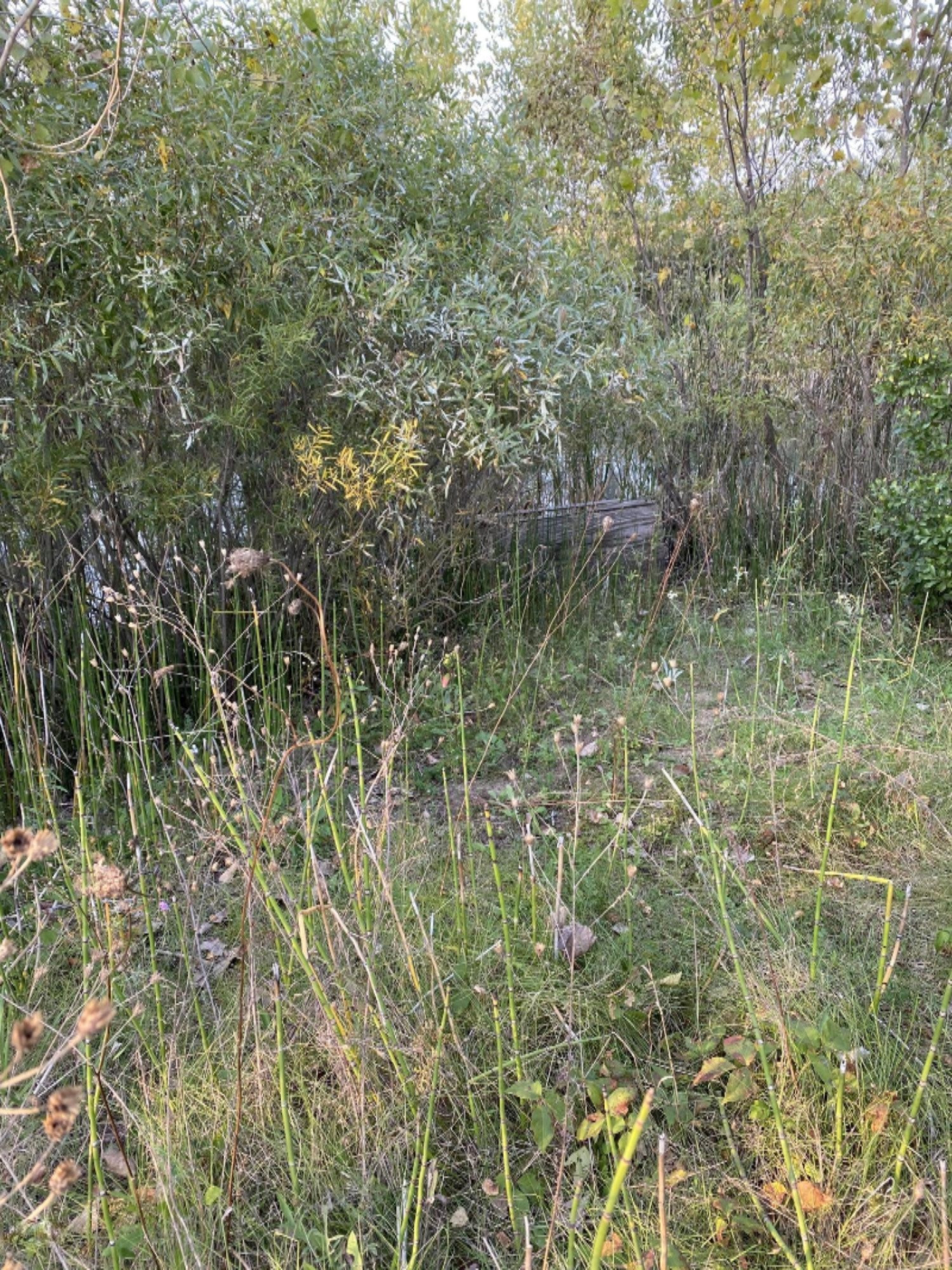 8783 Ruggles Road Baroda, MI 49101 - Photo 21 of 26 IMG_0051