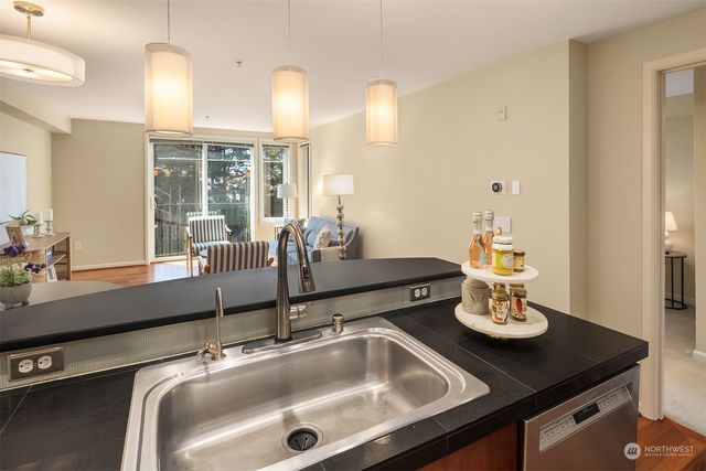 a kitchen with a sink and a potted plant