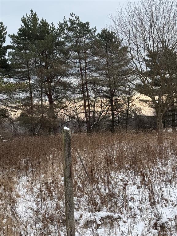 3865 Wills Road Croswell, MI 48422 - Photo 15 of 28