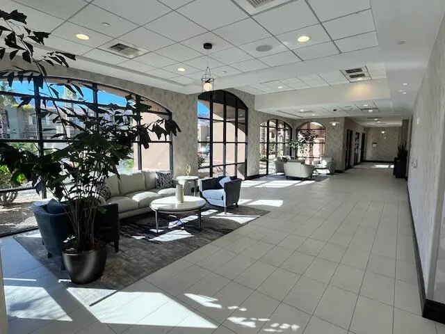 a living room with furniture and a potted plant