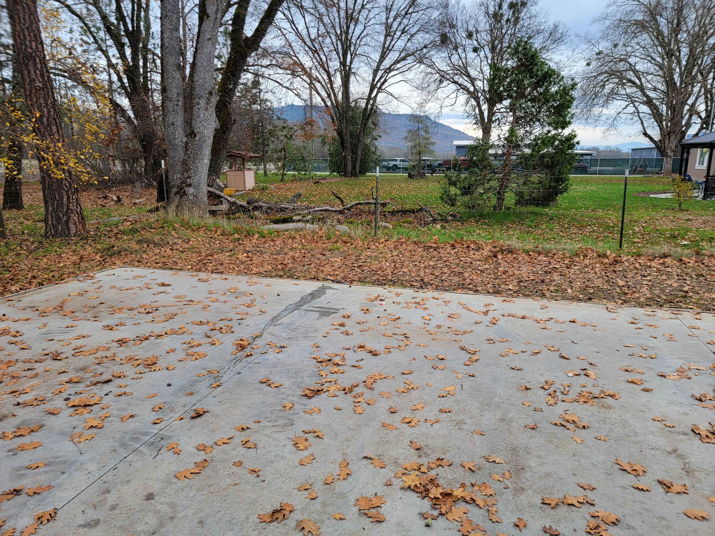 10699 Meadows Road White City, OR 97503 - Photo 10 of 47 20211115_140613