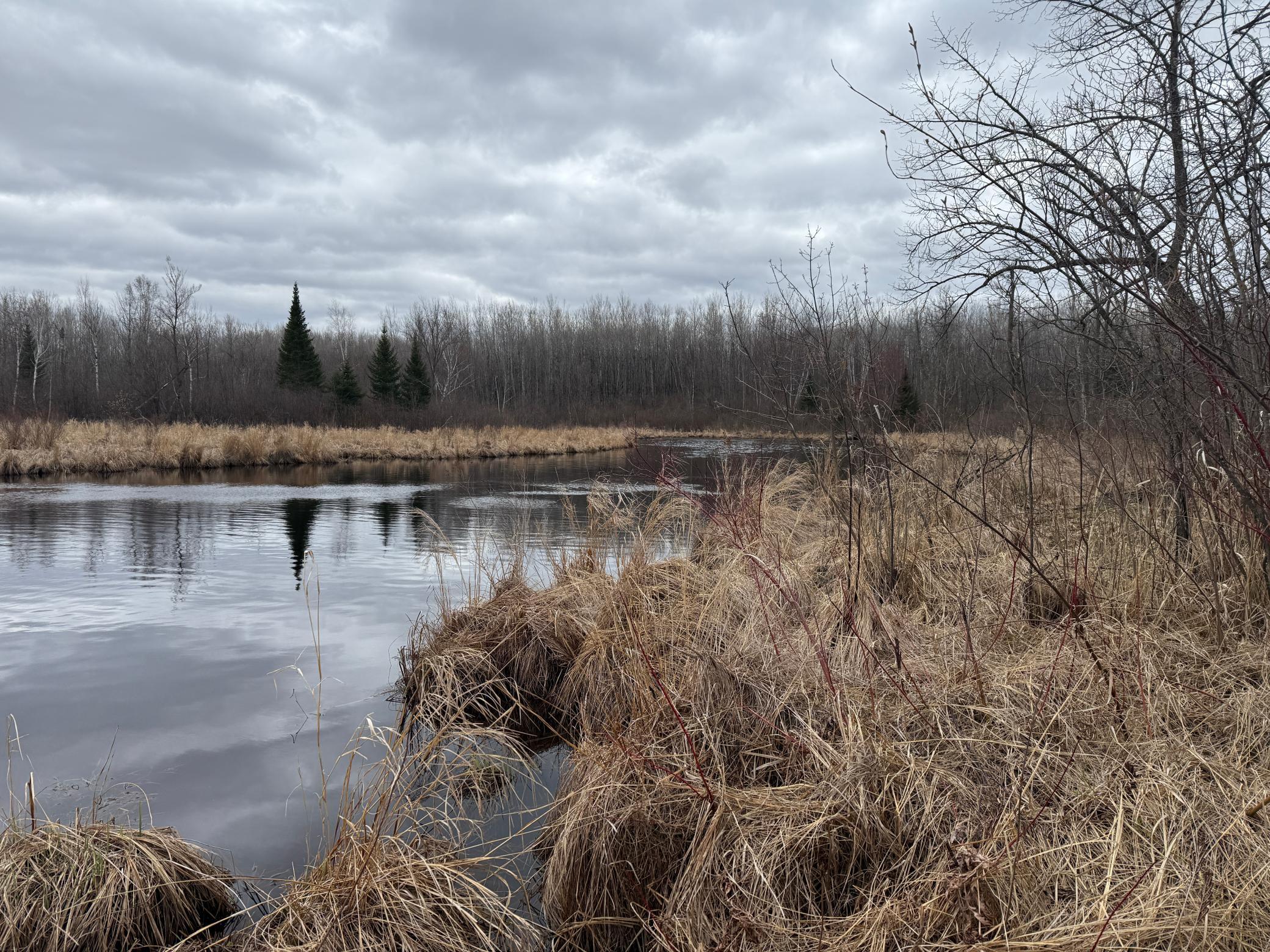 3854 Rasmussen Road Wright, MN 55798 - Photo 66 of 98