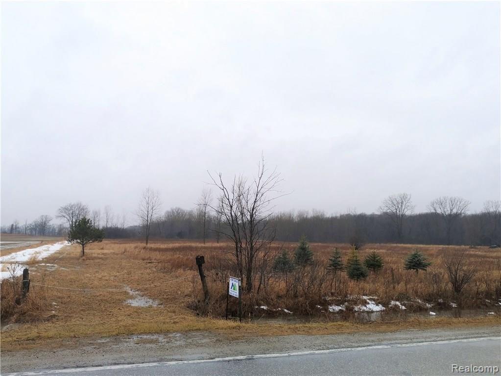 10 A Mason Road Yale, MI 48097 - Photo 2 of 8