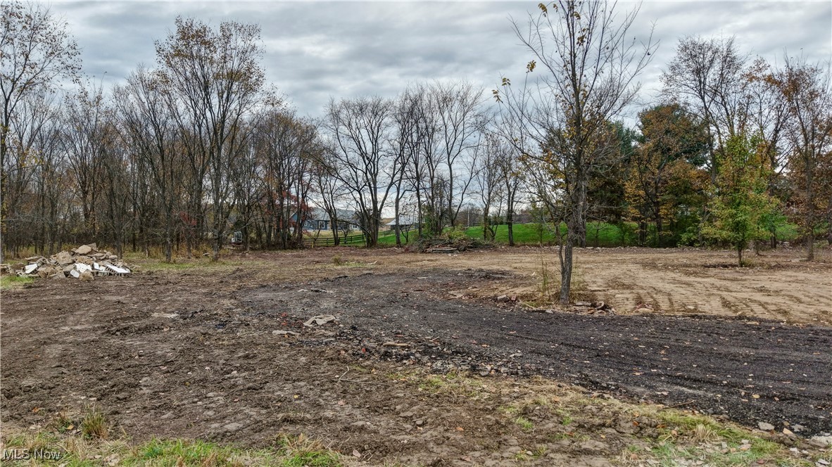 Swonger Road Dover, OH 44622 - Photo 6 of 7 View of yard