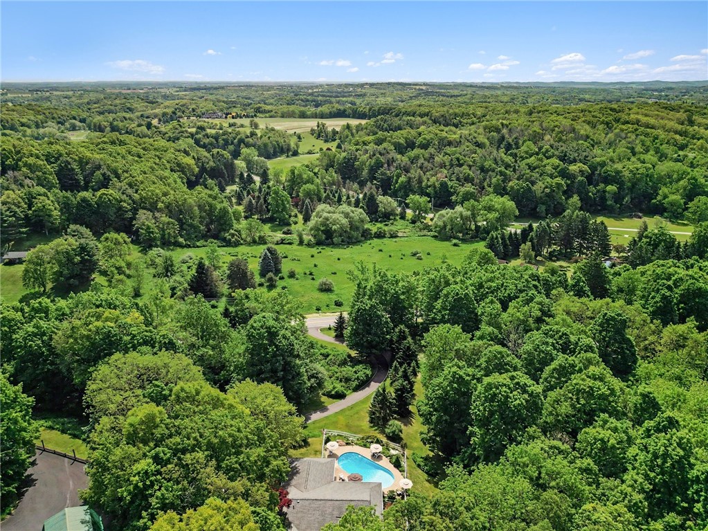 1722 Strong Road Victor, NY 14564 - Photo 23 of 33 2.6 acre private wooded lot.