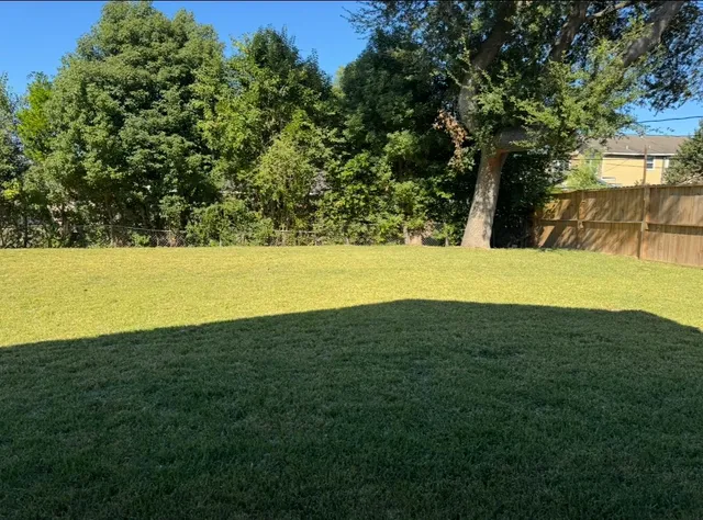 a view of an ocean from a yard