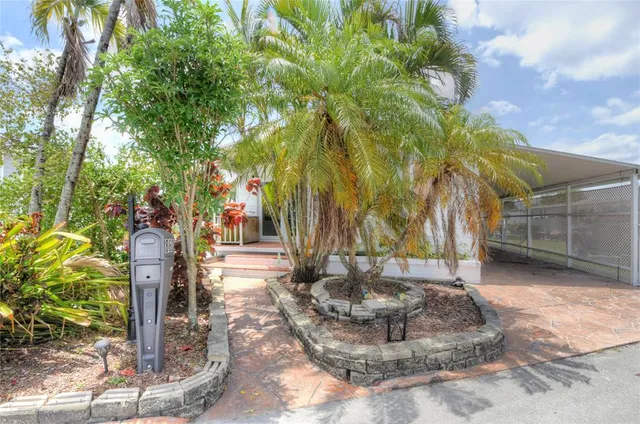 a view of a yard with palm trees
