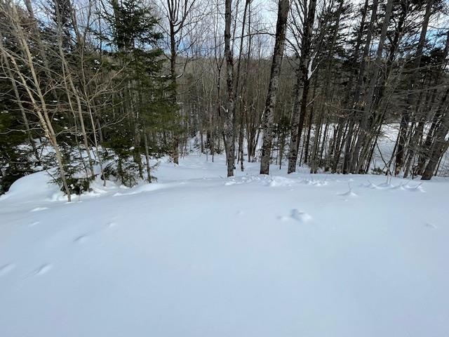 98 Lockwood Brook Road Fayston, VT 05673 - Photo 47 of 60