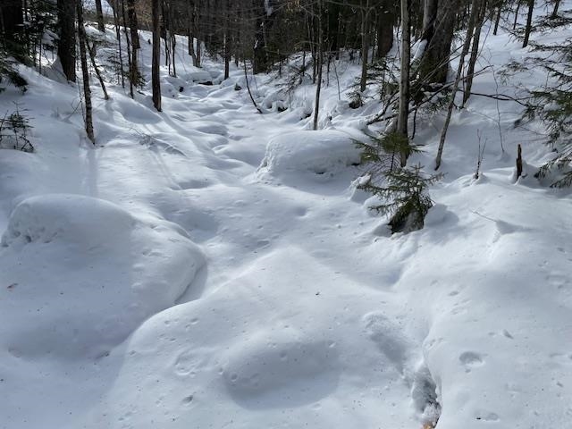 98 Lockwood Brook Road Fayston, VT 05673 - Photo 48 of 60
