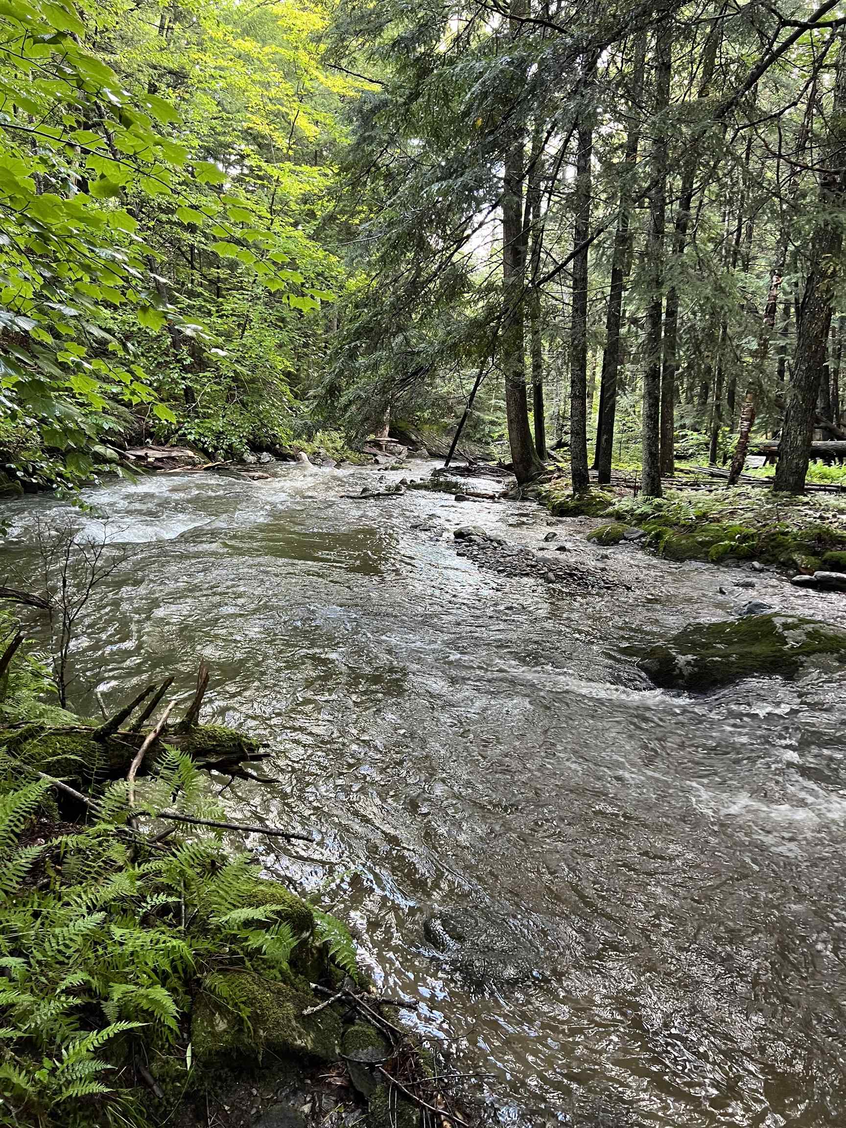 98 Lockwood Brook Road Fayston, VT 05673 - Photo 6 of 60