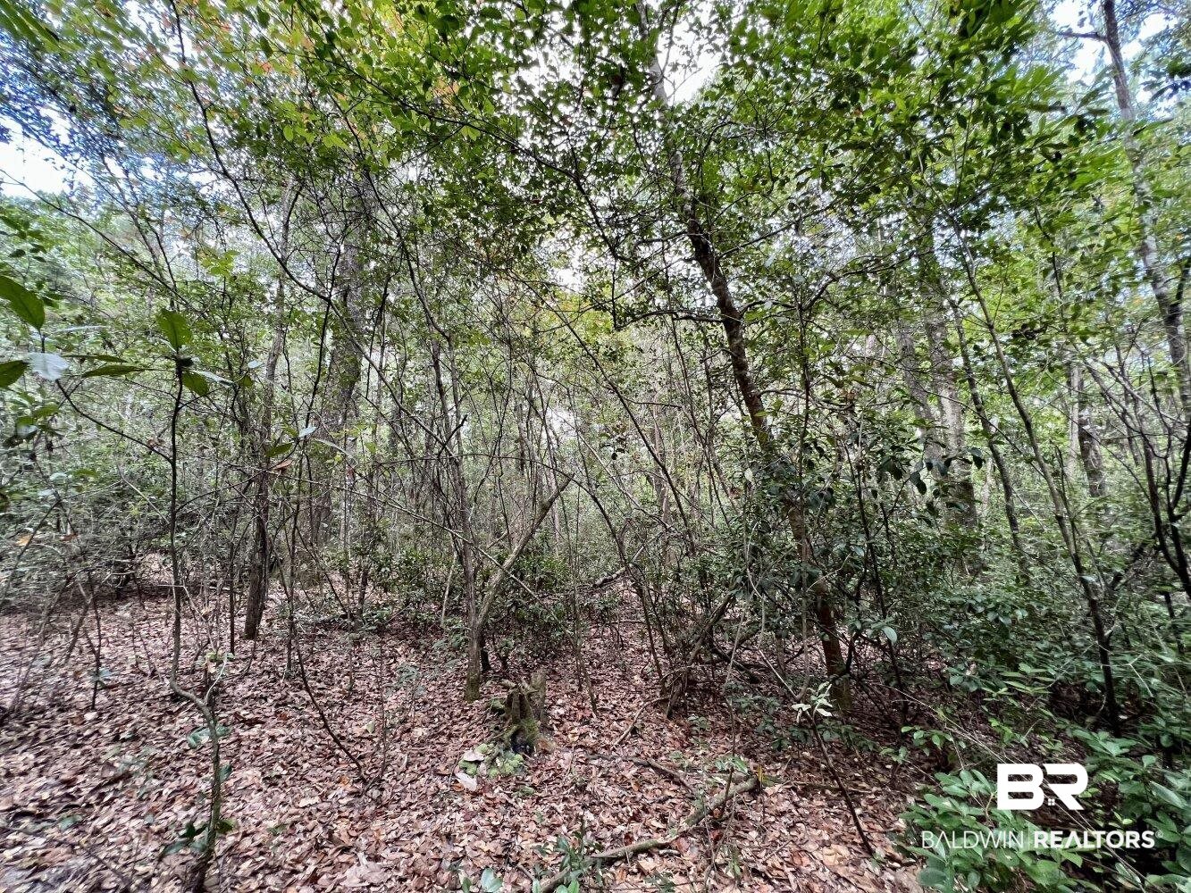 0 Bear Fork Road Mobile, AL 36618 - Photo 33 of 50