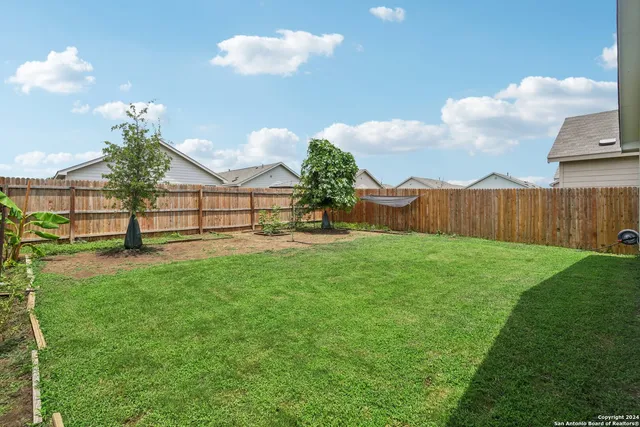 a view of a backyard