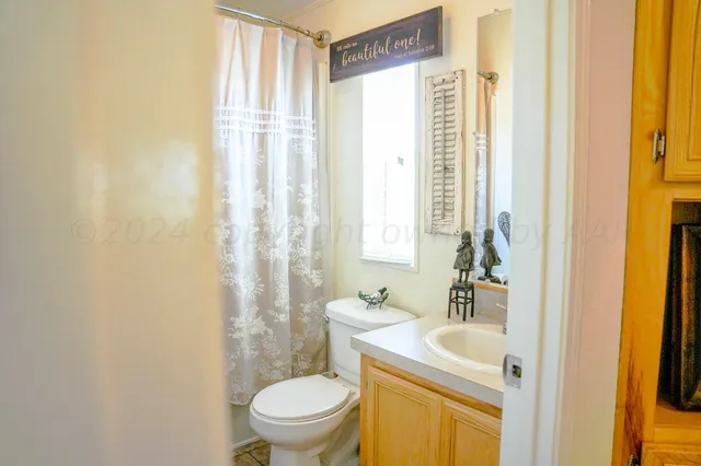 a bathroom with a sink a toilet and a shower curtain