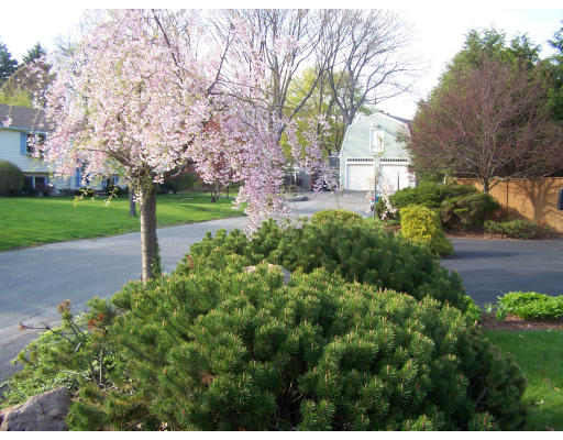 5 Oakland Road Danvers, MA 01923 - Photo 18 of 19 Gallery Image 18