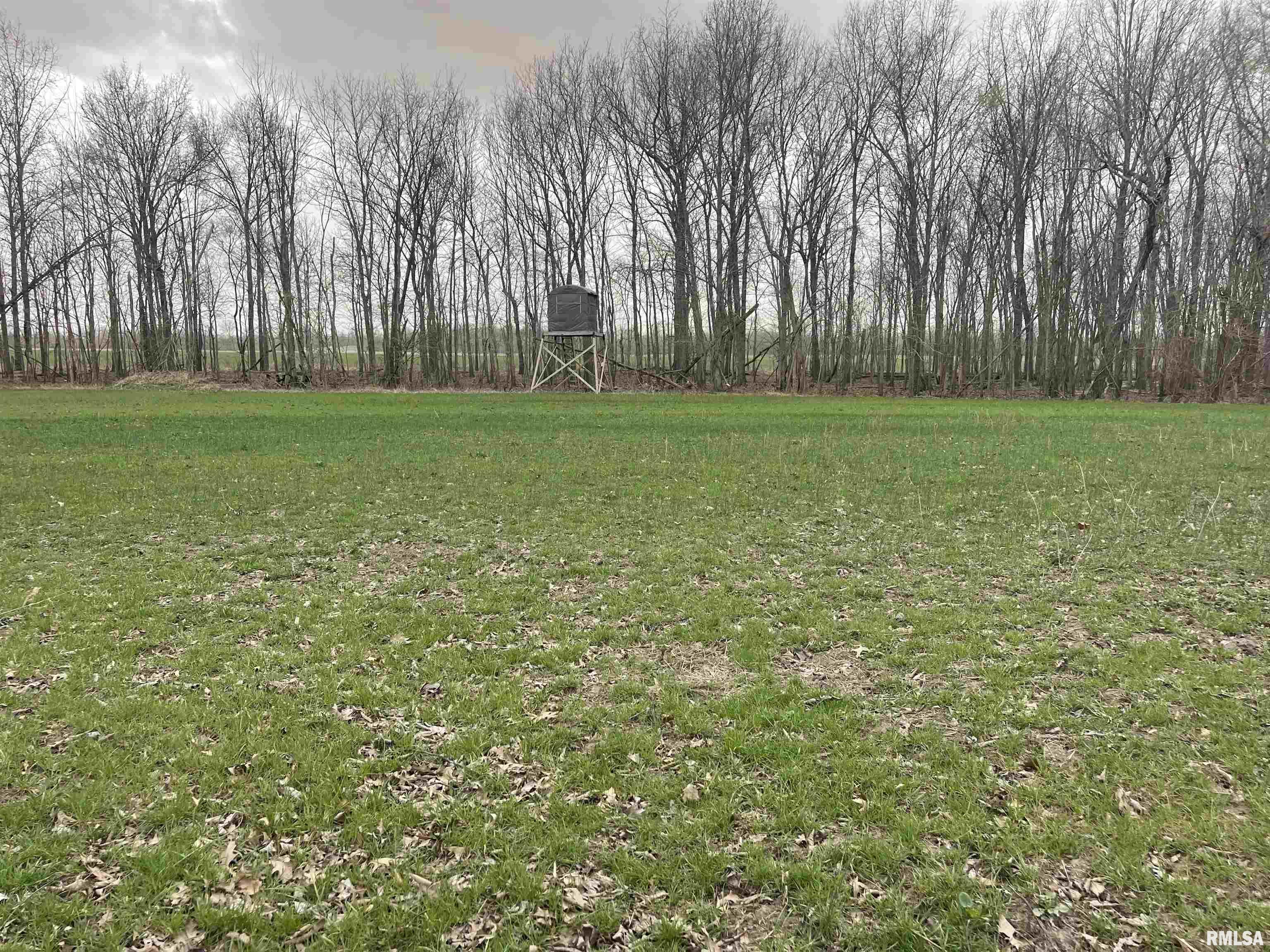 Tbd Rome Road, Unit 11807 West Frankfort, IL 62896 - Photo 29 of 39 Gallery Image 29