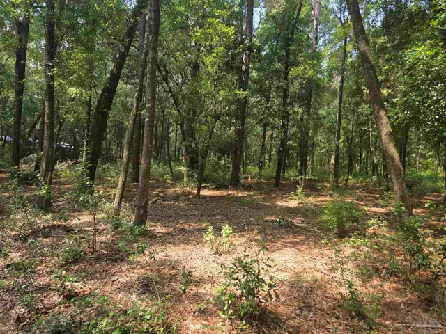 $94,500 | 0 McInnis Street, Milton, FL 32583