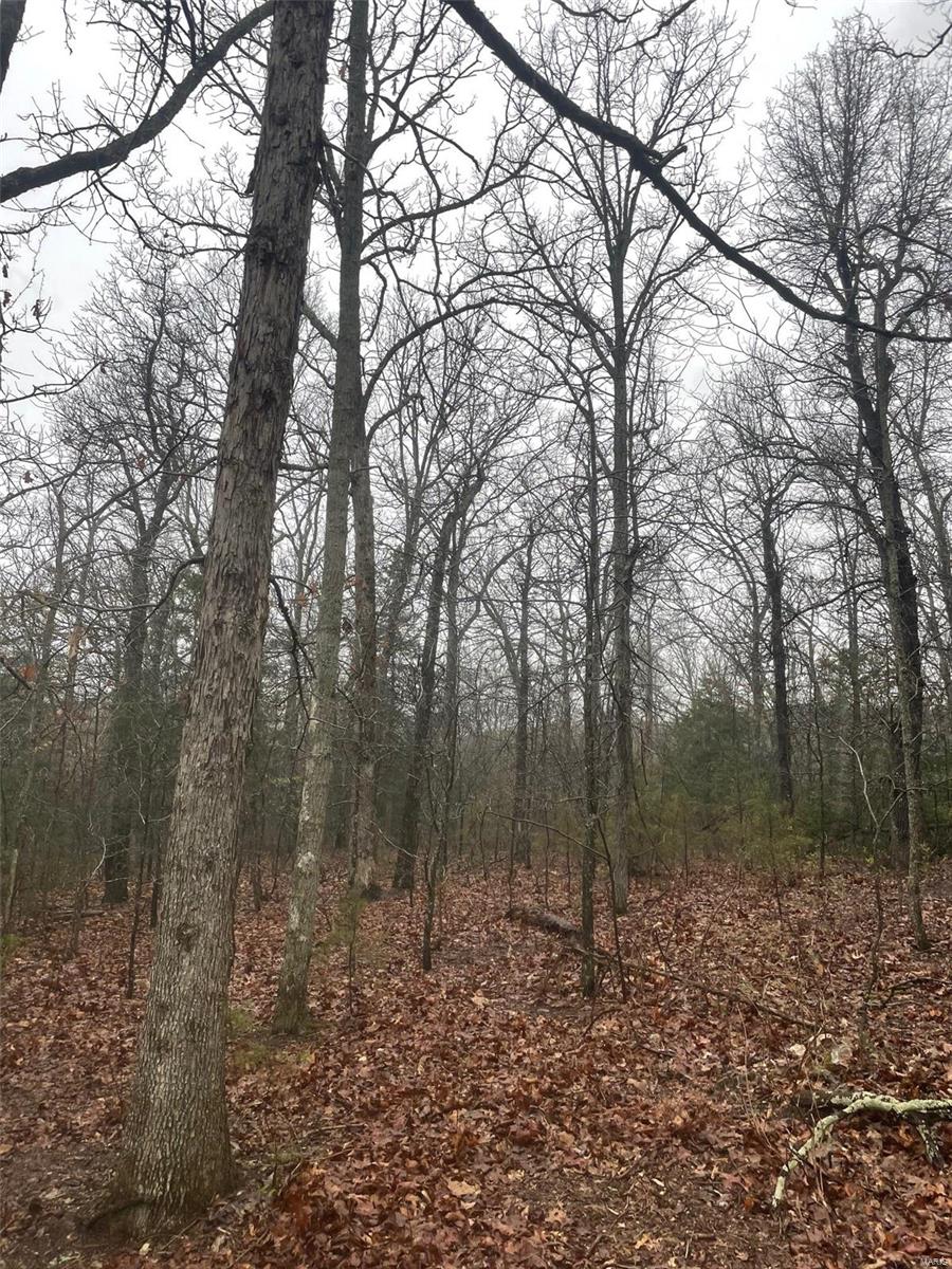 0 Tbd King Road Stoutland, MO 65567 - Photo 11 of 16