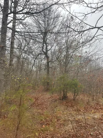 $344,900 | 0 Tbd King Road, Stoutland, MO 65567