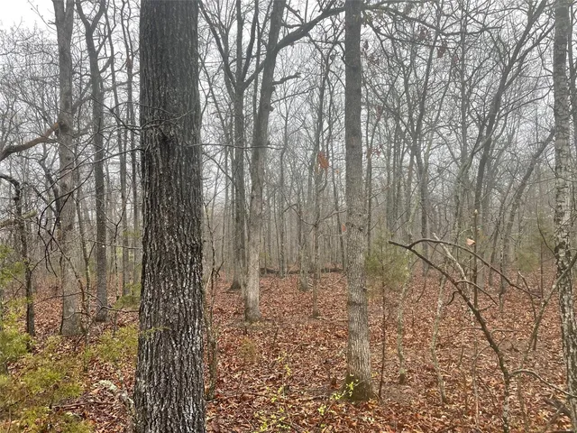 $344,900 | 0 Tbd King Road, Stoutland, MO 65567