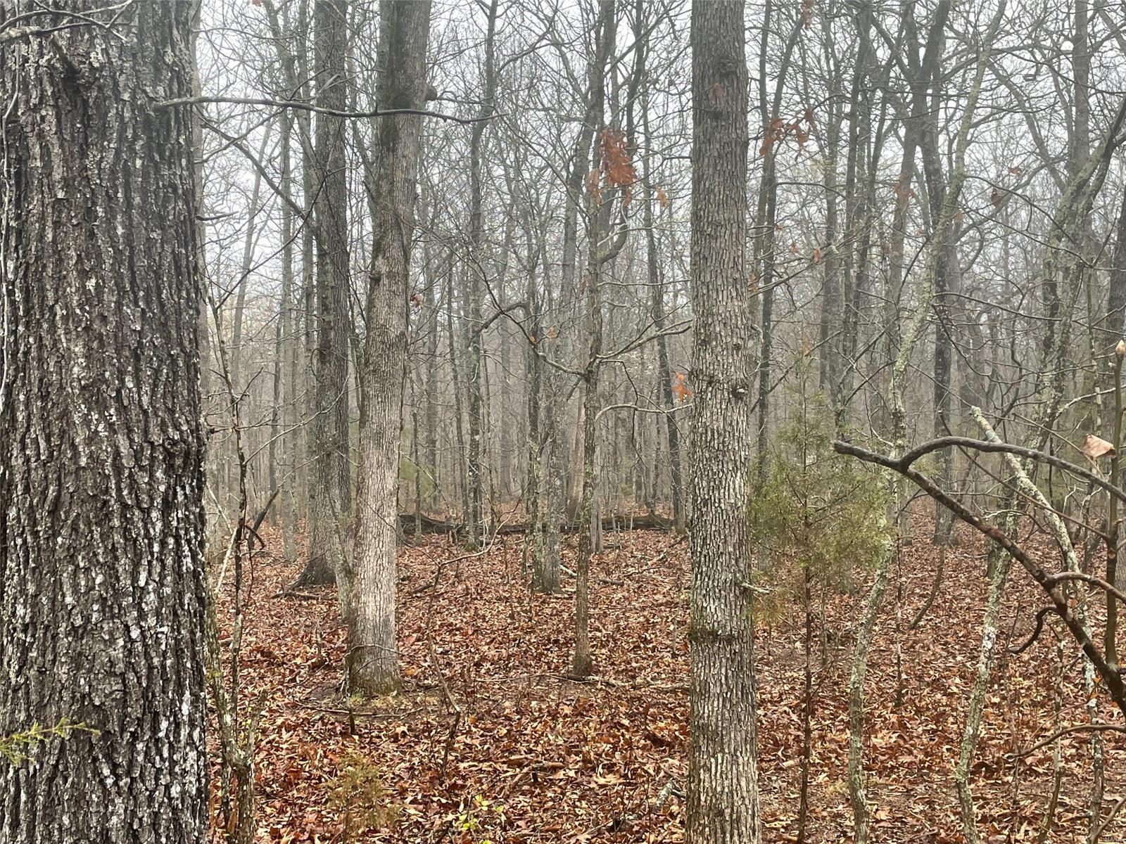 0 Tbd King Road Stoutland, MO 65567 - Photo 14 of 16