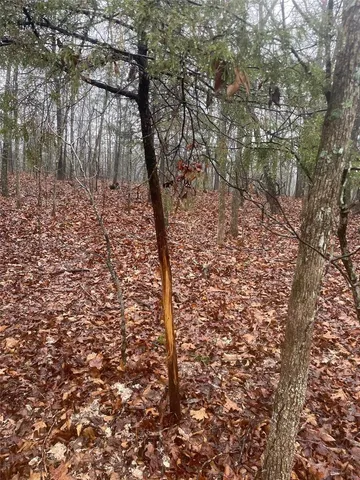 $344,900 | 0 Tbd King Road, Stoutland, MO 65567