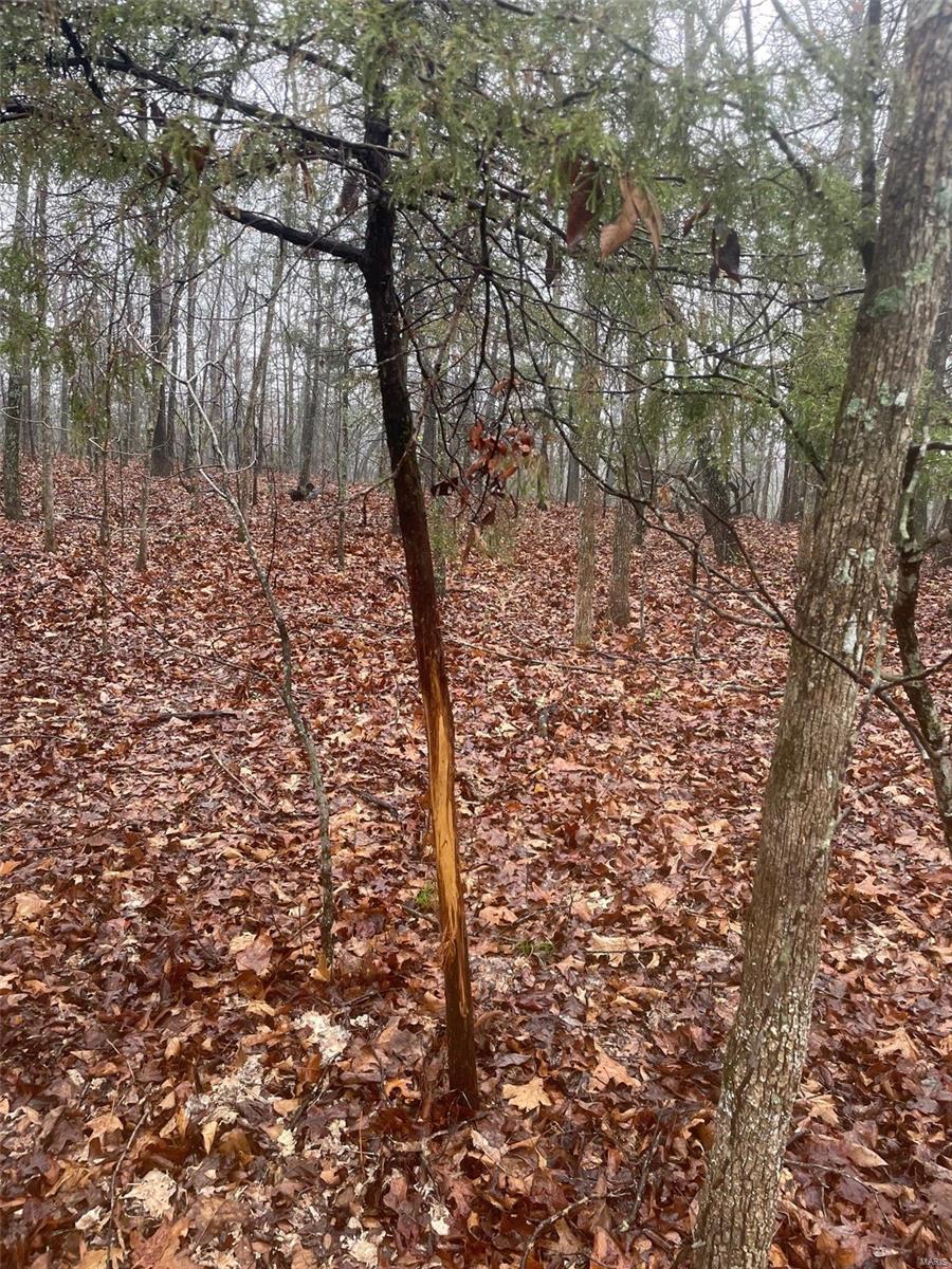 0 Tbd King Road Stoutland, MO 65567 - Photo 15 of 16