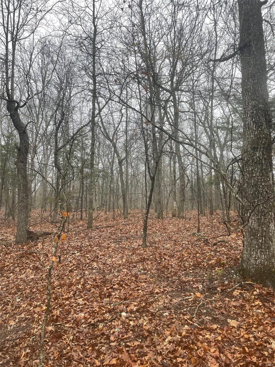 0 Tbd King Road Stoutland, MO 65567 - Photo 16 of 16