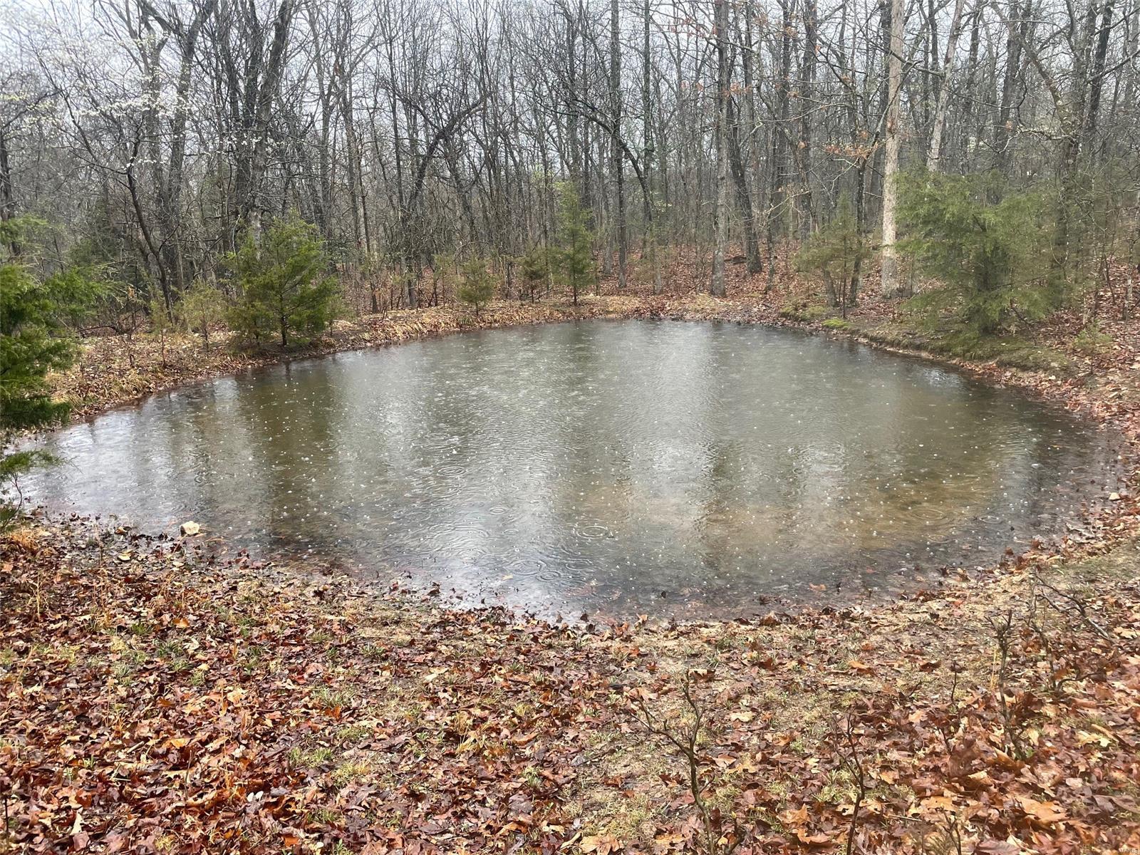 0 Tbd King Road Stoutland, MO 65567 - Photo 5 of 16