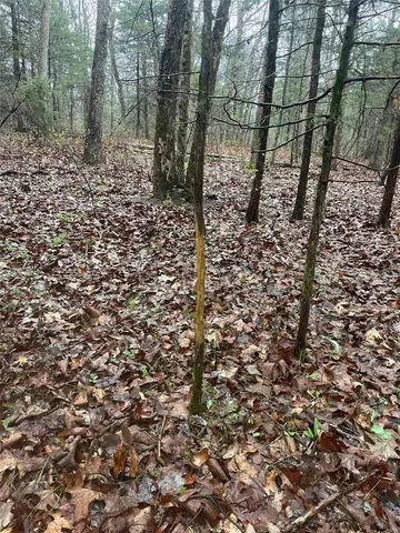 $344,900 | 0 Tbd King Road, Stoutland, MO 65567