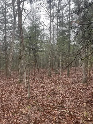 $344,900 | 0 Tbd King Road, Stoutland, MO 65567