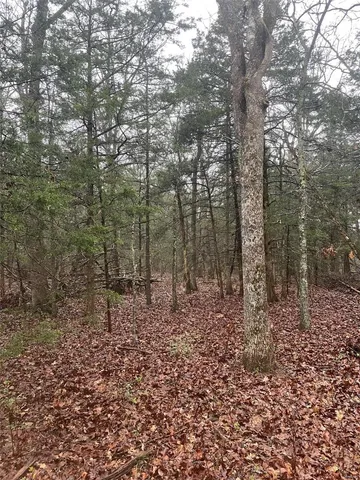 $344,900 | 0 Tbd King Road, Stoutland, MO 65567