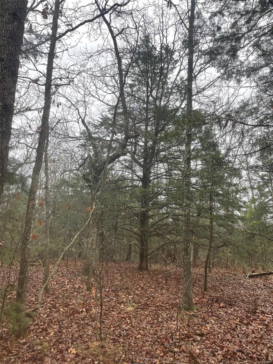 0 Tbd King Road Stoutland, MO 65567 - Photo 10 of 16