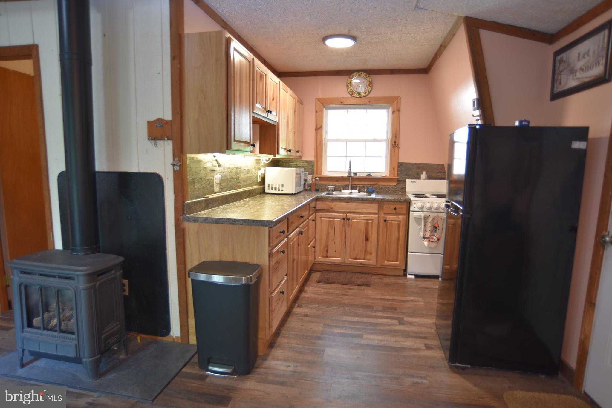 586 Cardinal View Road Paw Paw, WV 25434 - Photo 17 of 25 propane heat and electric mini-split