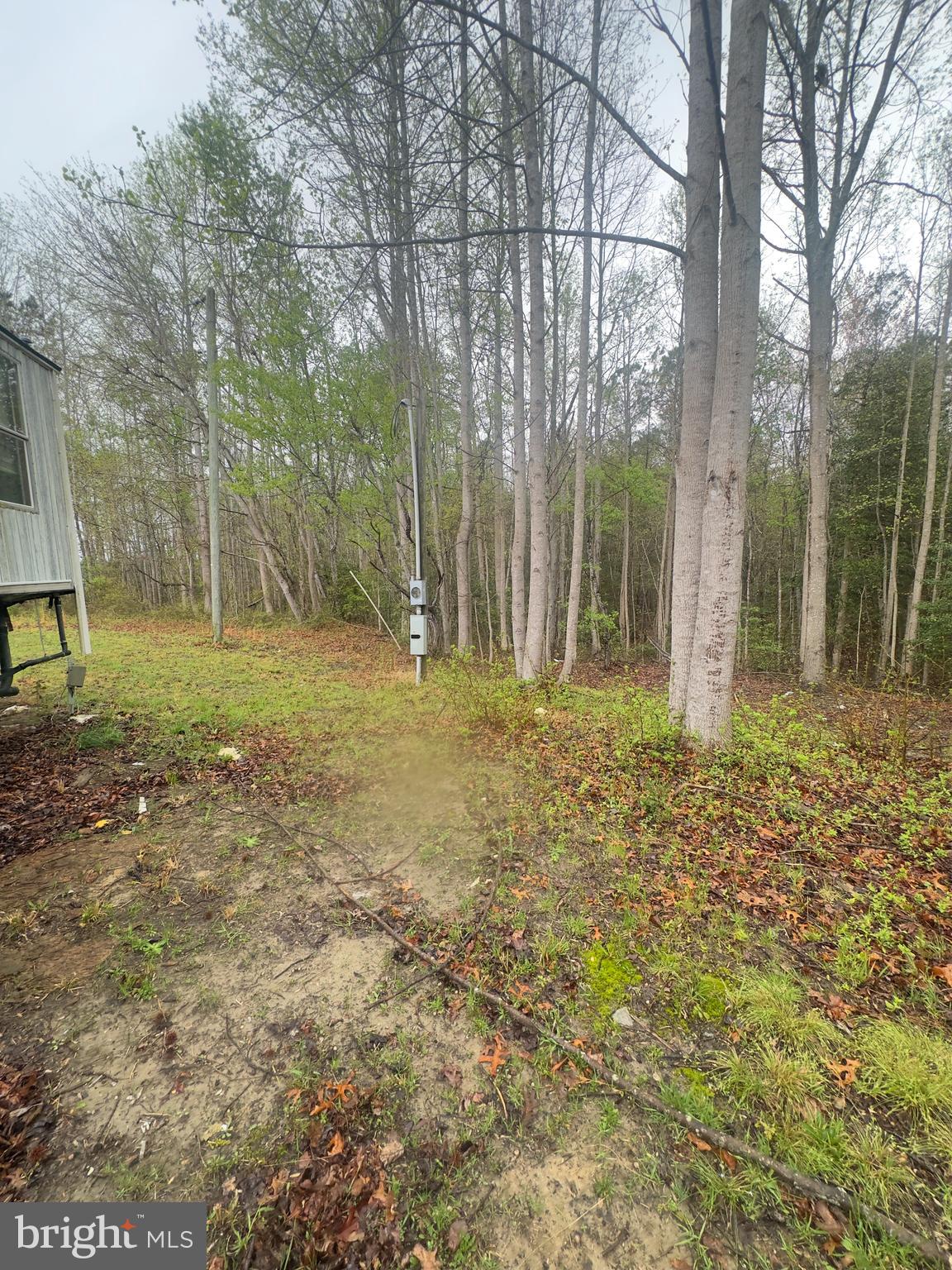 7833 Courthouse Road Heathsville, VA 22473 - Photo 15 of 18 a backyard of a house with lots of green space