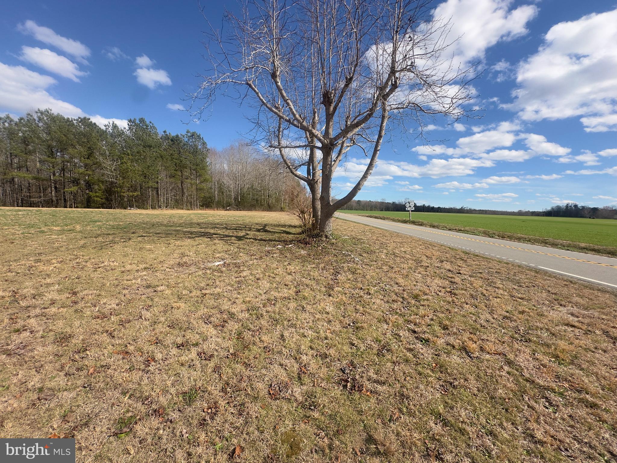 7833 Courthouse Road Heathsville, VA 22473 - Photo 18 of 18 a view of a yard with a house