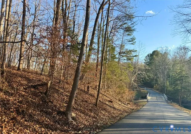 a view of swimming pool with large trees