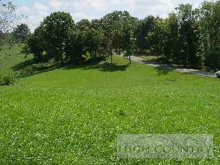 Lot #92 Harbour View Road Butler, TN 37640 - Photo 1 of 1 a view of a garden with a tree