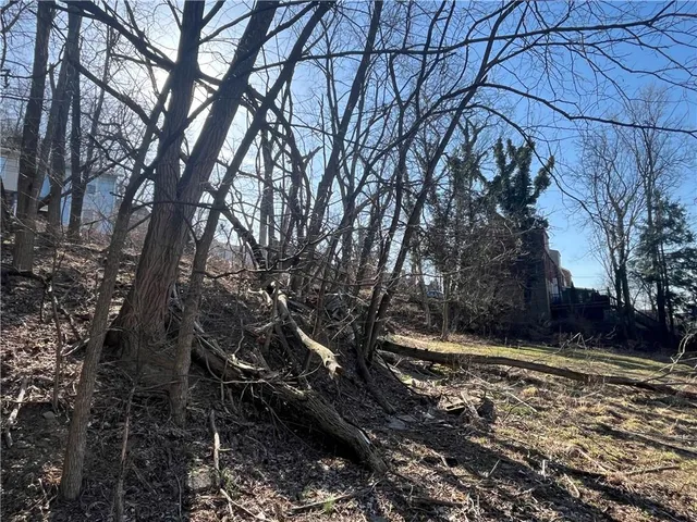 a view of a pathway of a yard