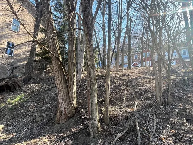 a house view with a dry trees