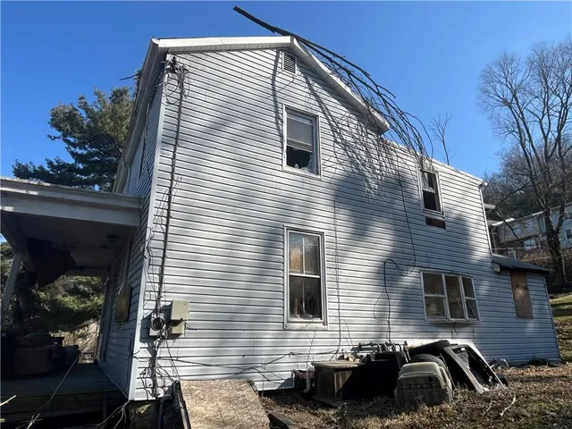 a view of a backyard with plants and trees