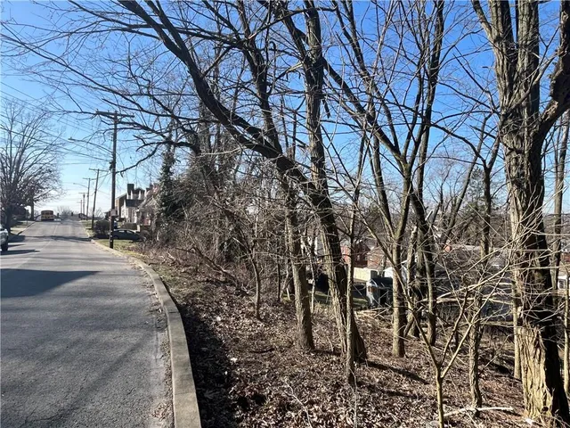 a view of road with with trees