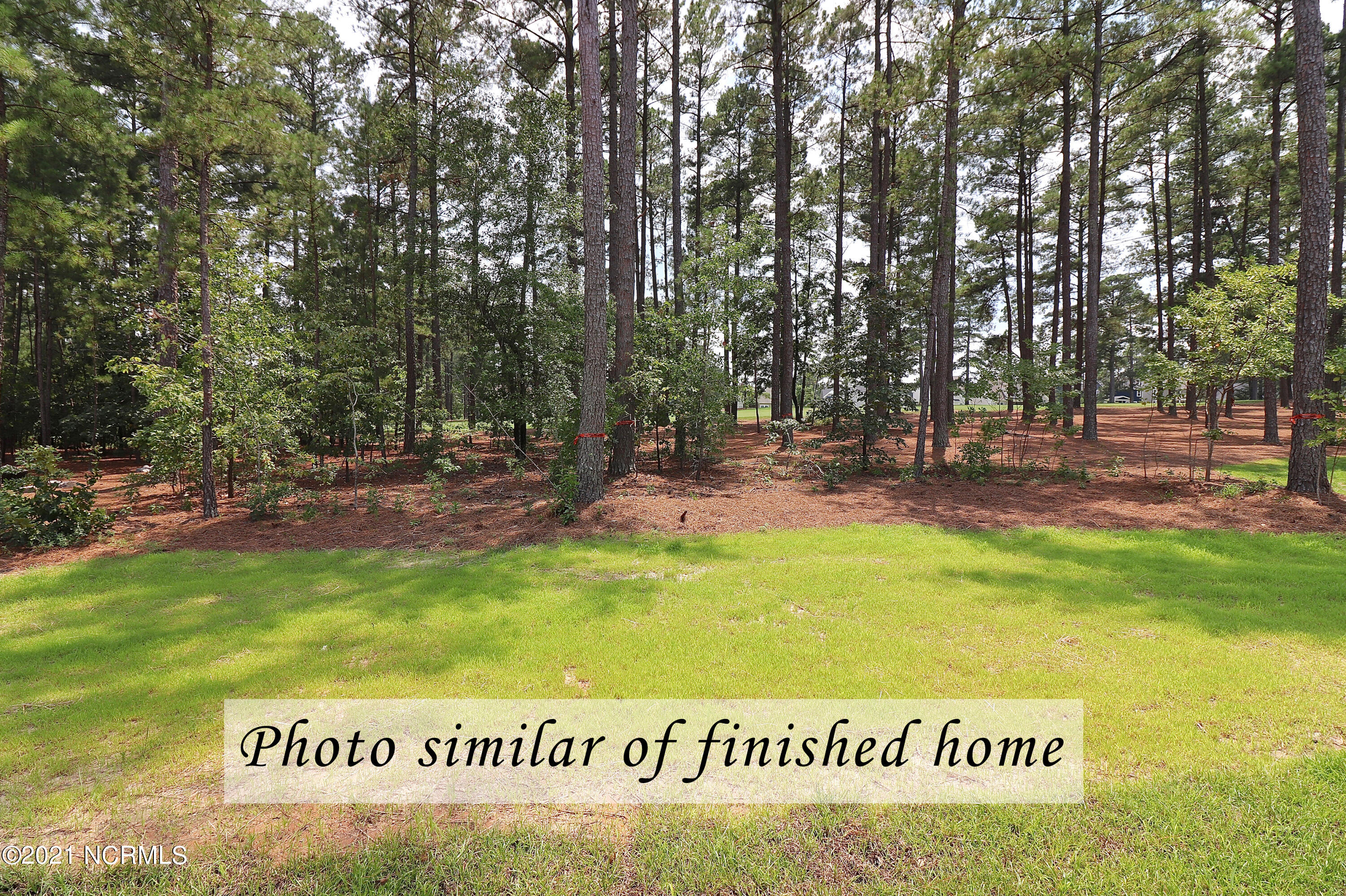 809 Warwick Lane Carthage, NC 28327 - Photo 12 of 52 7