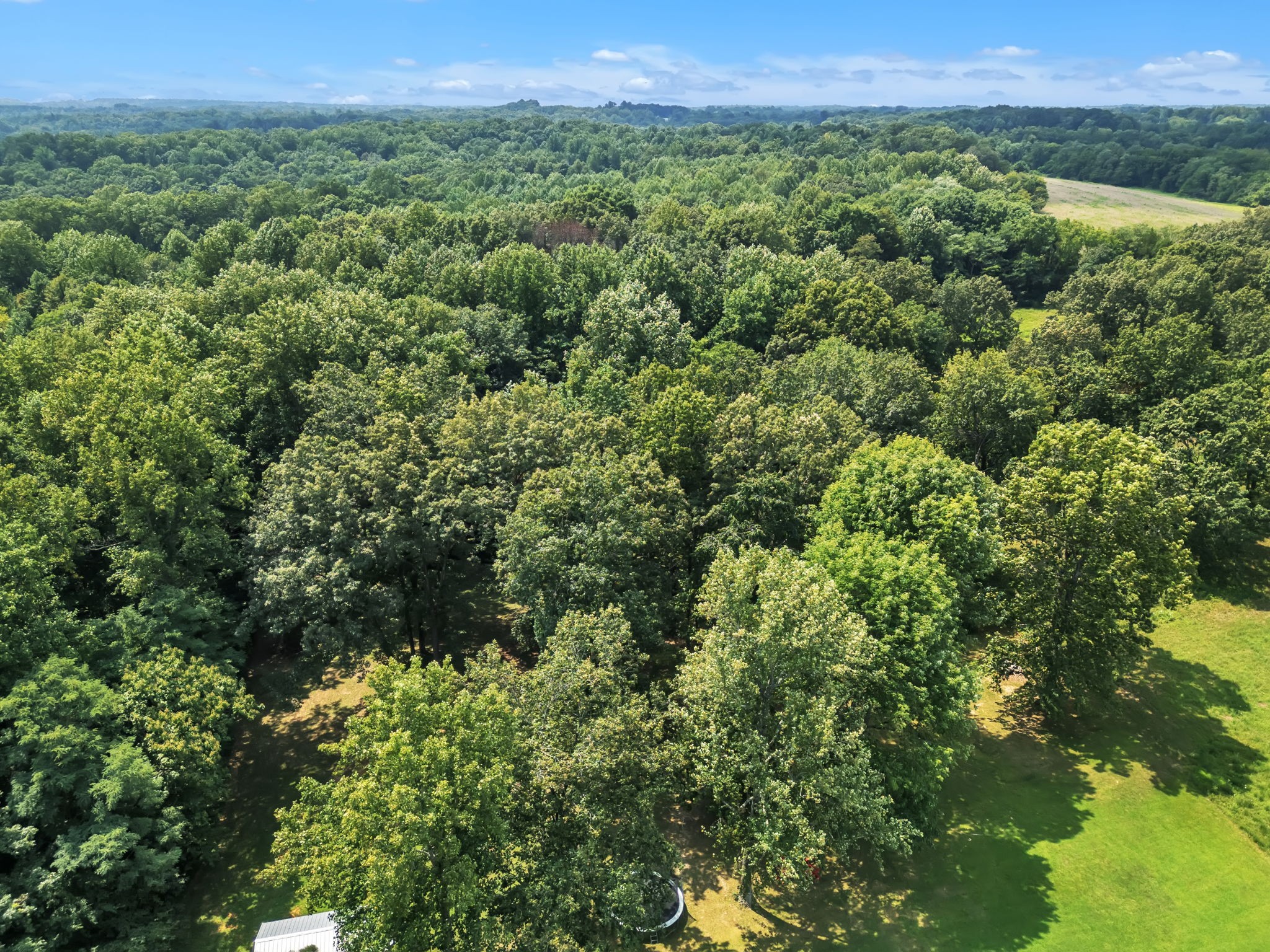338 Ab Wade Road Portland, TN 37148 - Photo 54 of 55