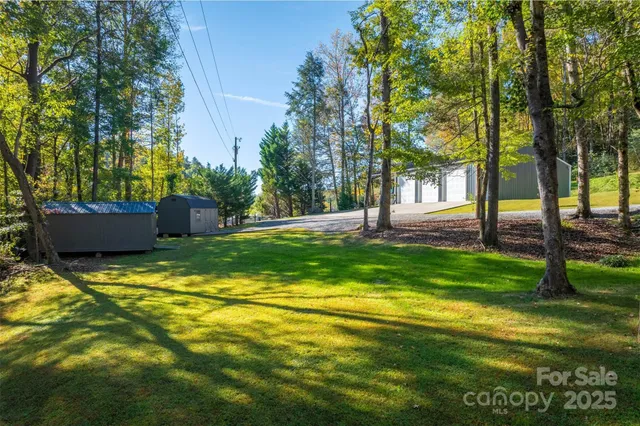 a swimming pool with lots of tress in front of it